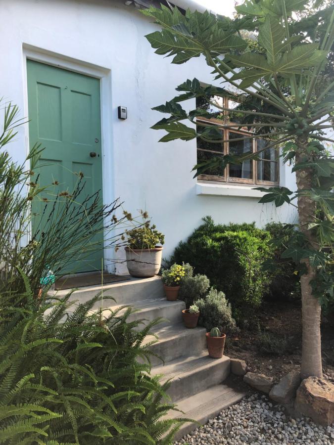 Urban Plett Apartment